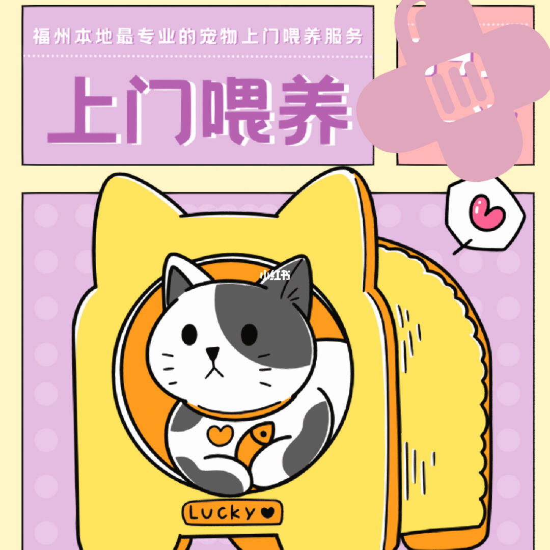 春節(jié)期間福州寵物上門喂養(yǎng)服務(wù)接單忙，用心守護(hù)毛孩子過(guò)年團(tuán)圓
