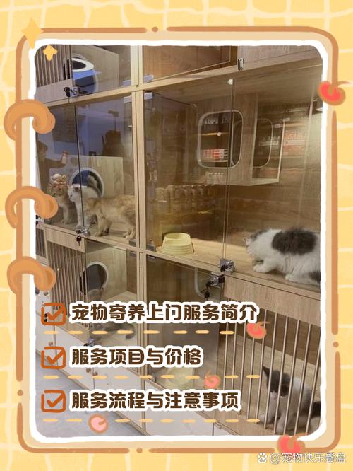 寵物寄養(yǎng)新趨勢(shì) 上門服務(wù)如何讓愛(ài)寵倍感安心